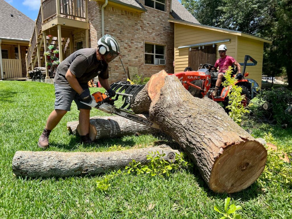 Worker in helmet using a chainsaw to cut a large tree log in a yard while a coworker operates a Kubota tractor with grapple attachment nearby