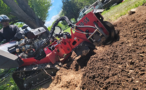 Operator using a red stump grinder to grind a tree stump into mulch